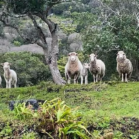 Quinta Do Almanac * Queimada (Azores)