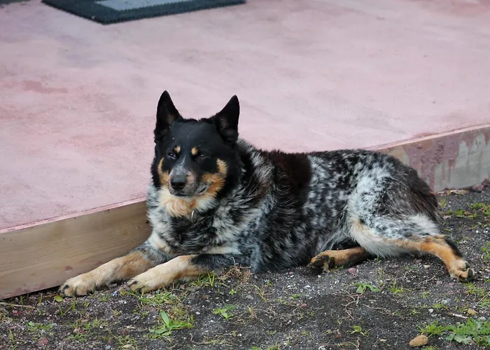 Quinta Do Almanac Hébergement de vacances