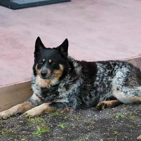 Quinta Do Almanac Hébergement de vacances