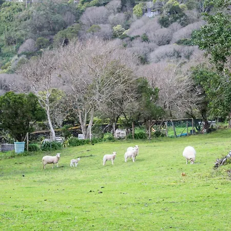 Ferienhaus Quinta Do Almanac Queimada (Azores)