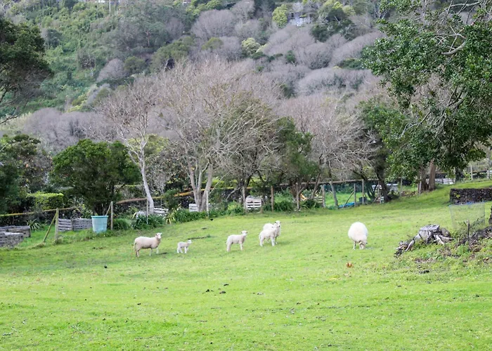Holiday home Quinta Do Almanac Queimada (Azores)