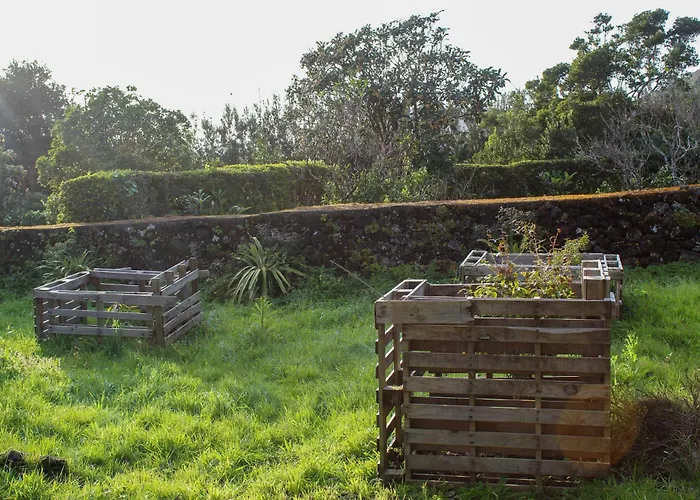 Quinta Do Almanac Holiday home *